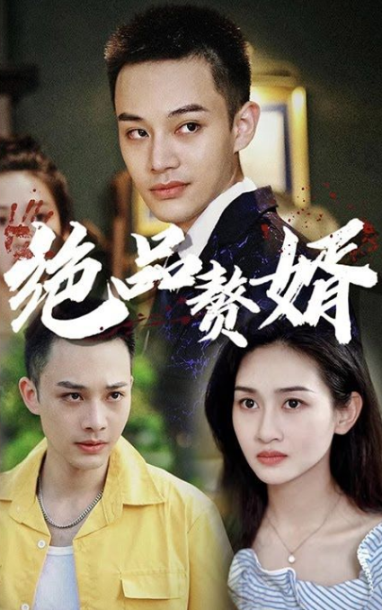 绝品赘婿第47集