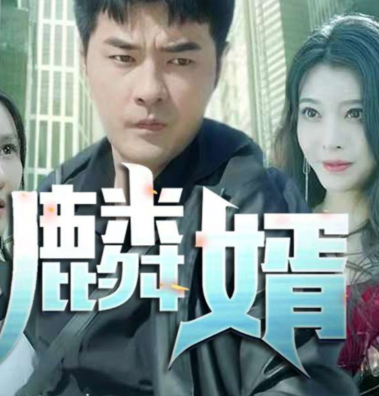 麟婿第46集