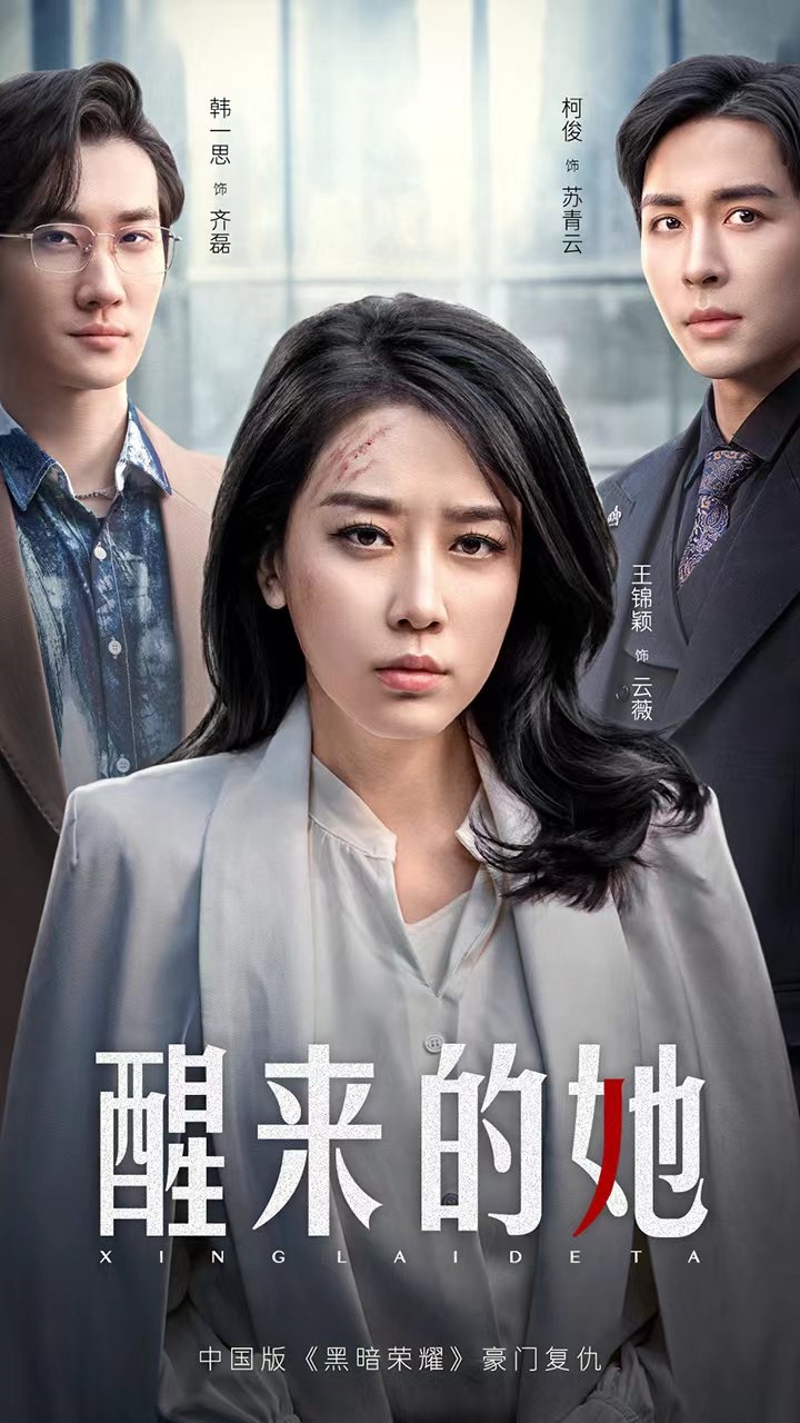 醒来的她第28集