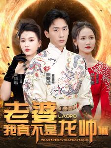 老婆我真不是龙帅啊第38集
