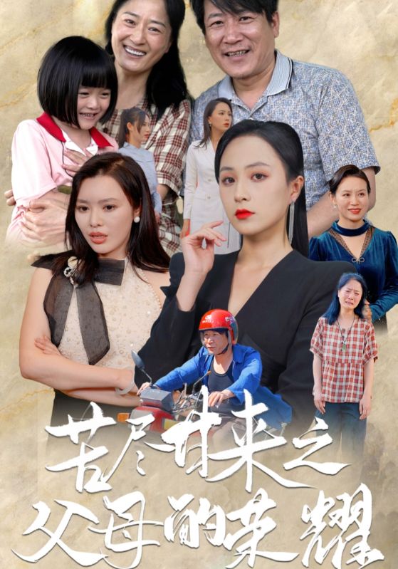 苦尽甘来之父母的荣耀第17集
