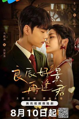 良辰好景再逢君第22集