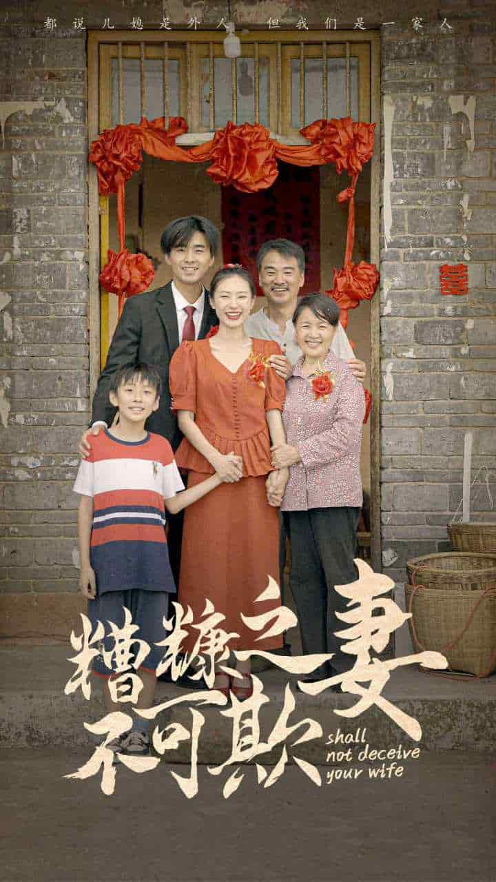糟糠之妻不可欺第41集