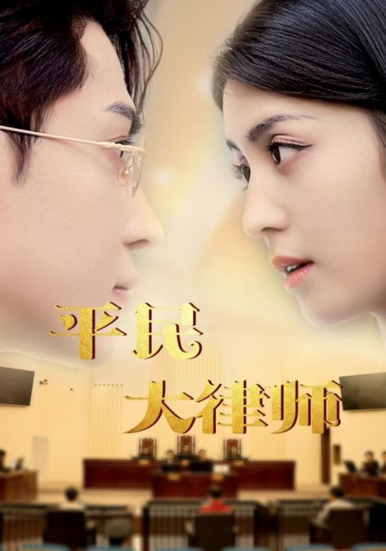 平民大律师第43集