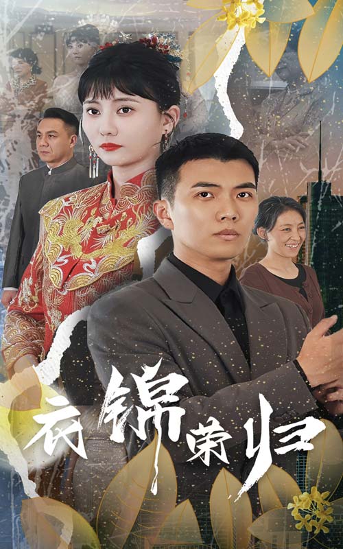 衣锦荣归第16集