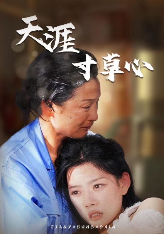 天涯寸草心第52集