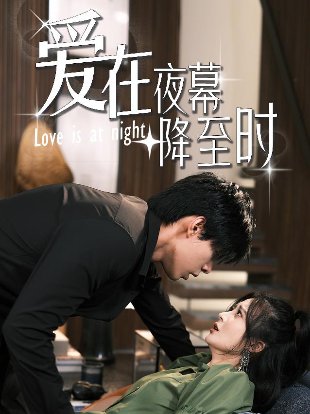 爱在夜幕降至时第04集