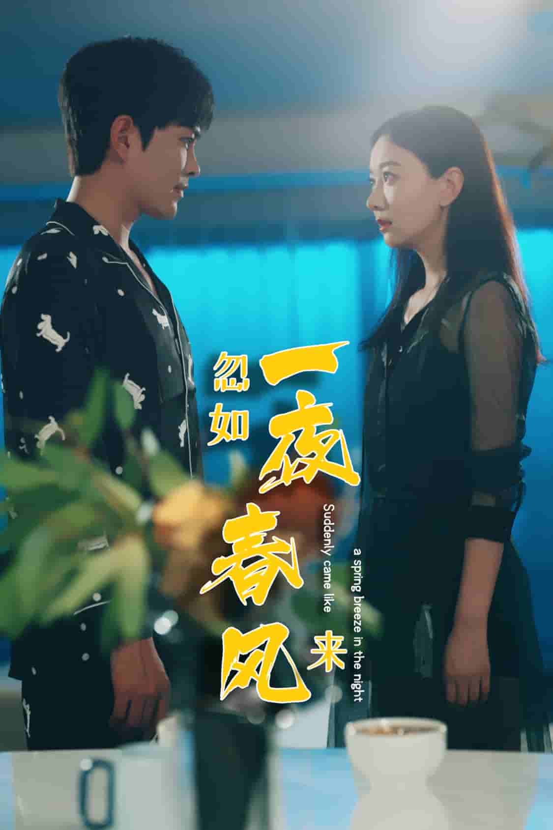 忽如一夜春风来第14集