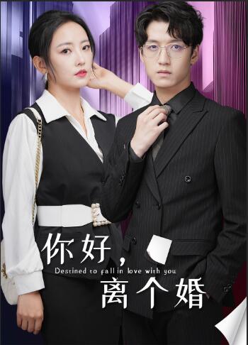 你好，离个婚第27集