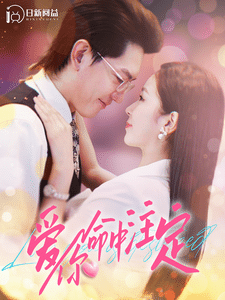 爱你命中注定第29集