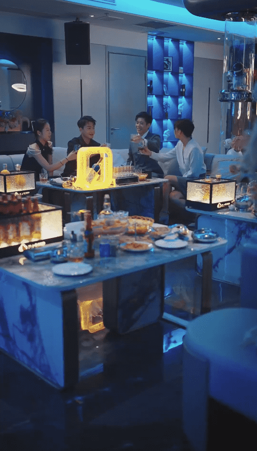 不原谅不复合苏小姐独美第48集