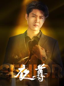 夜尊第30集