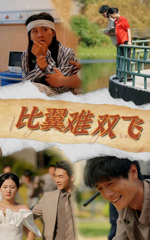 比翼难双飞第06集