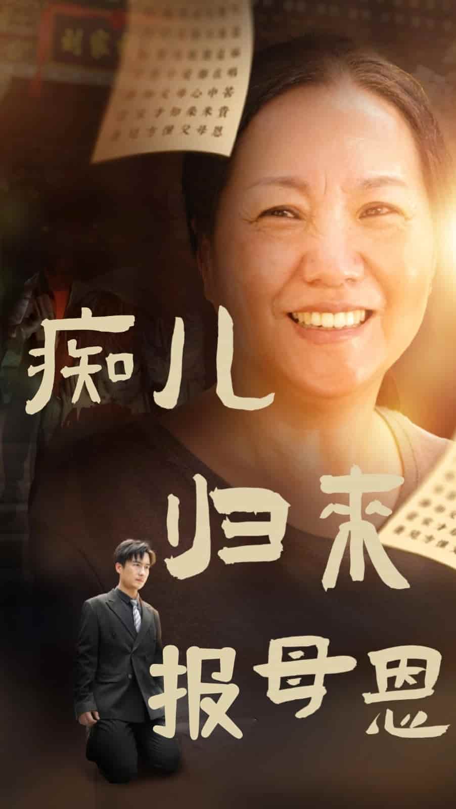 痴儿归来报母恩第17集