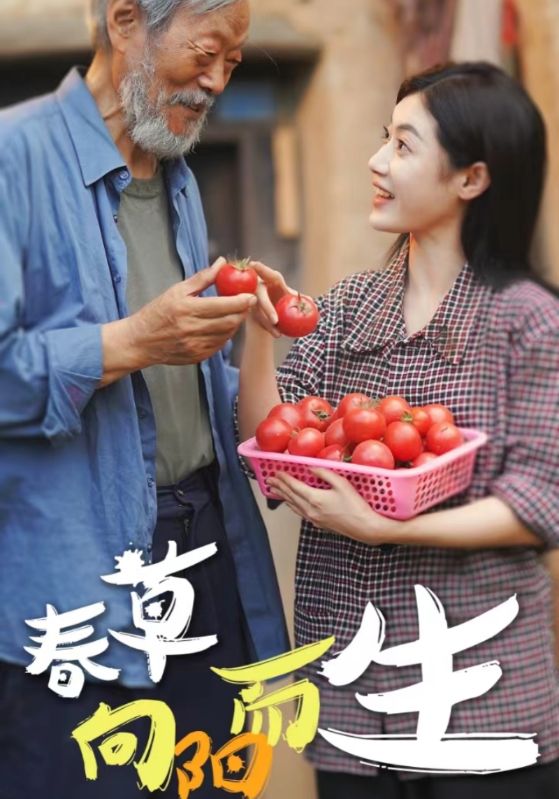 春草向阳而生第4集