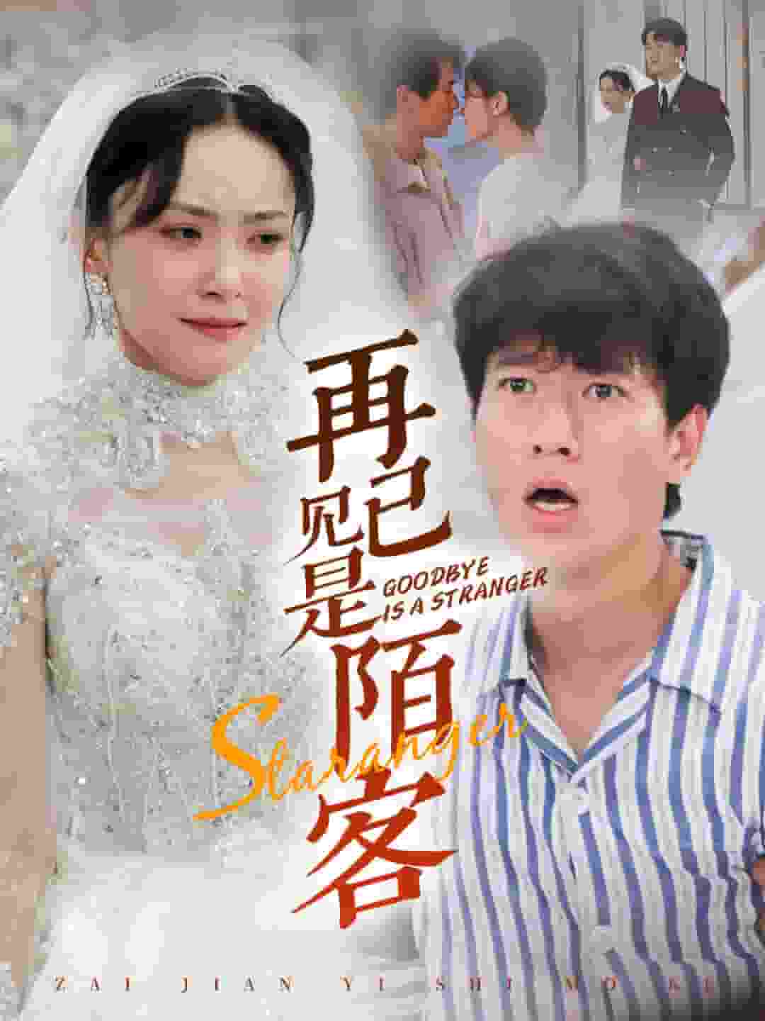 再见已是陌客第50集