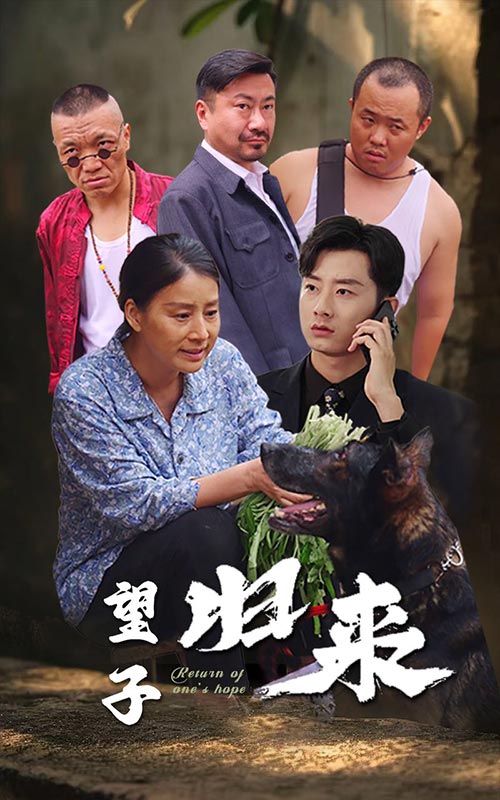 望子归来第28集