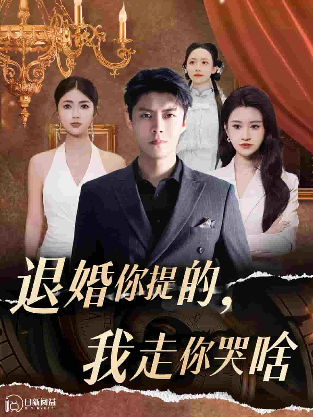 退婚你提的我走你哭啥第110集(大结局)