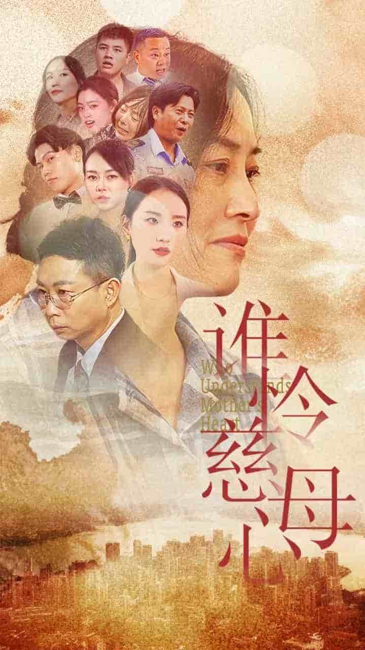 谁怜慈母心第19集
