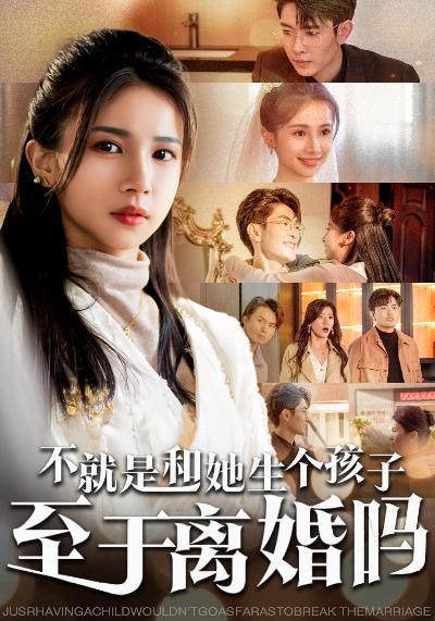 不就是和她生个孩子至于离婚吗第17集