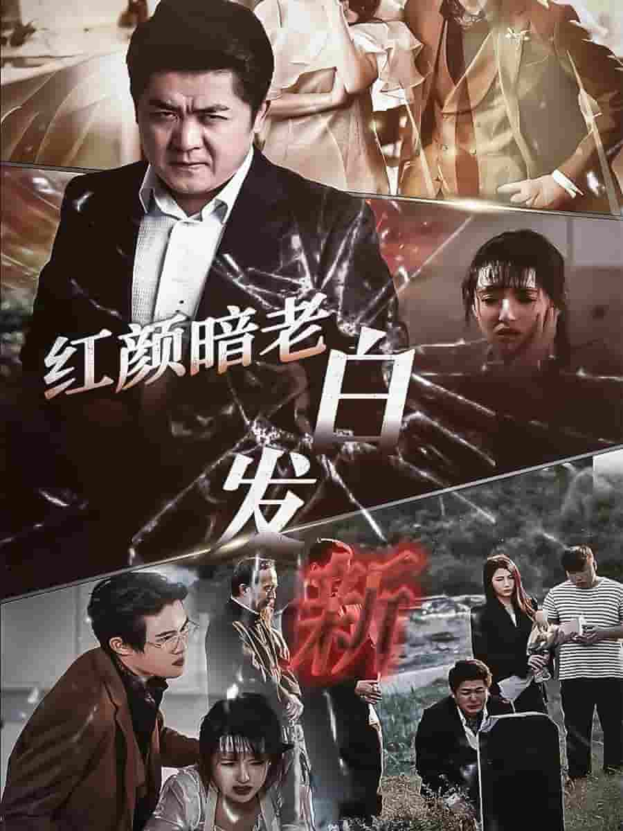 红颜暗老白发新第17集