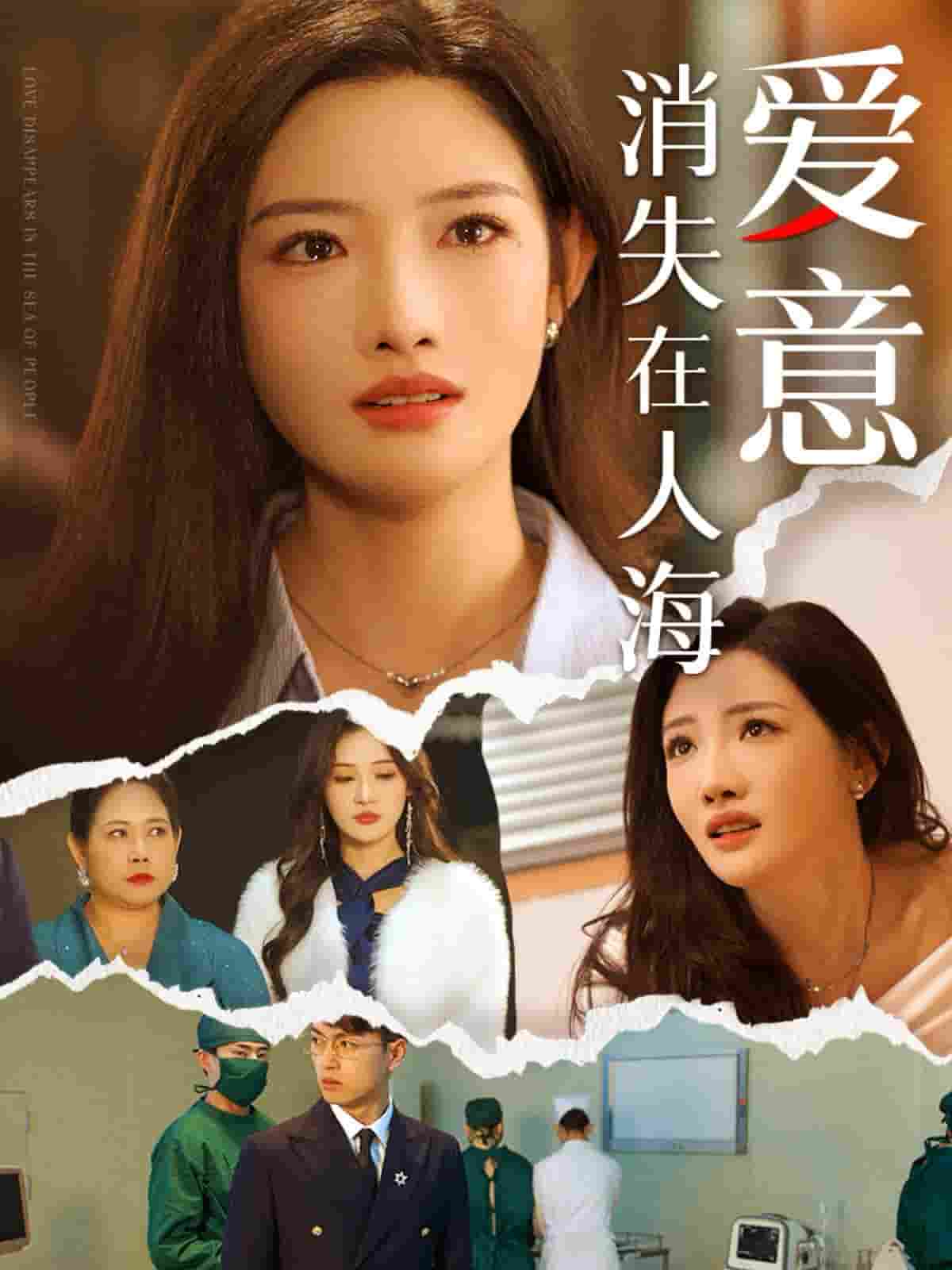 爱意消失在人海第28集