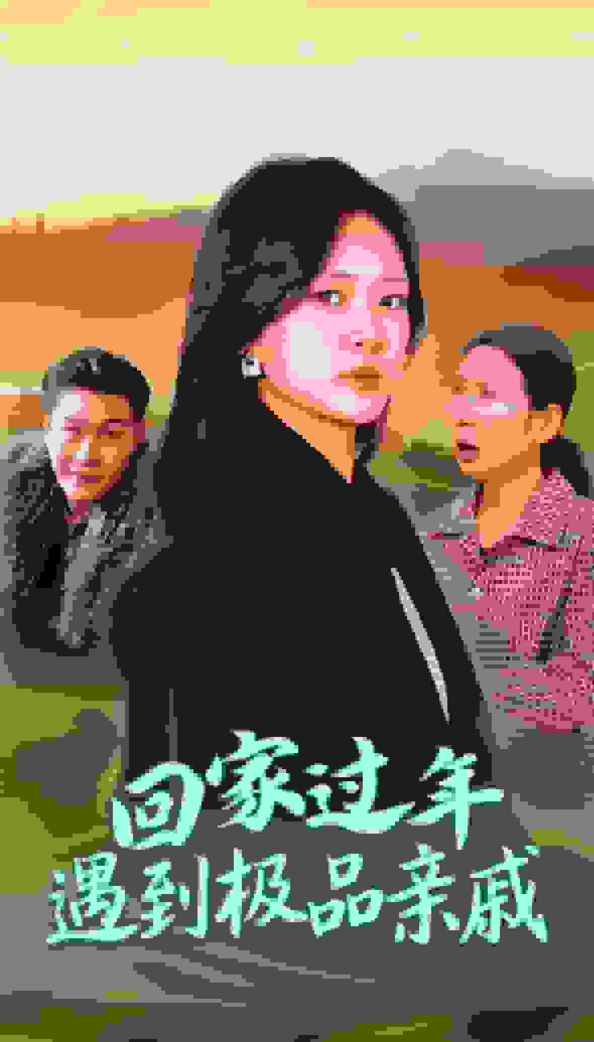 回家过年遇到极品亲戚第17集