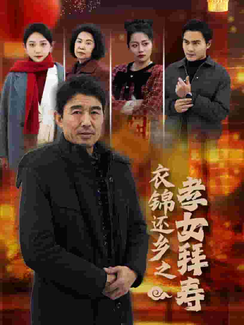 衣锦还乡之孝女拜寿第28集