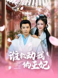 谁敢动我的王妃第1集