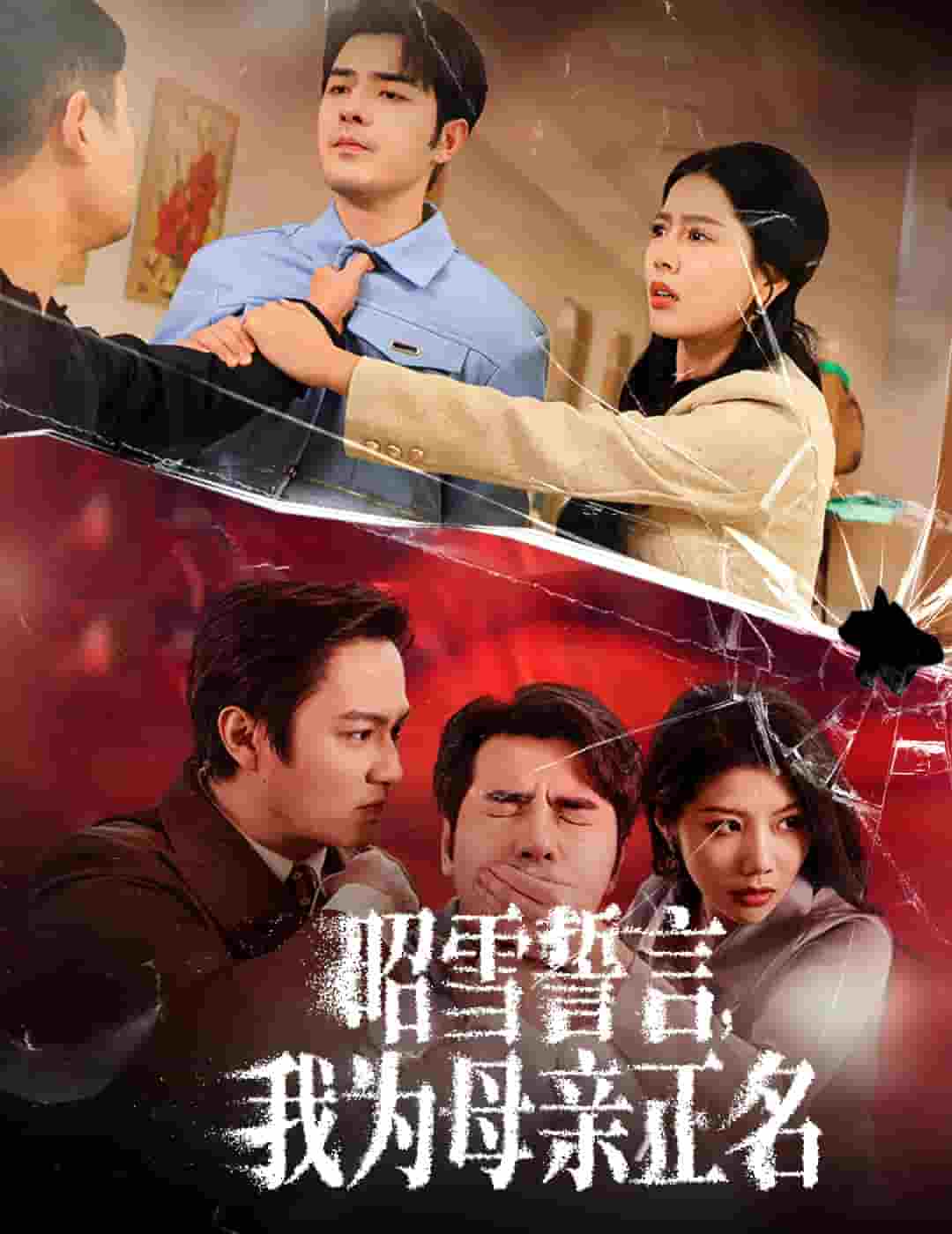 昭雪誓言我为母亲正名第45集