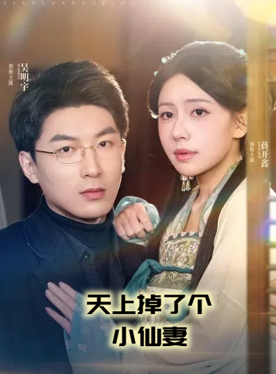 天上掉了个小仙妻第13集