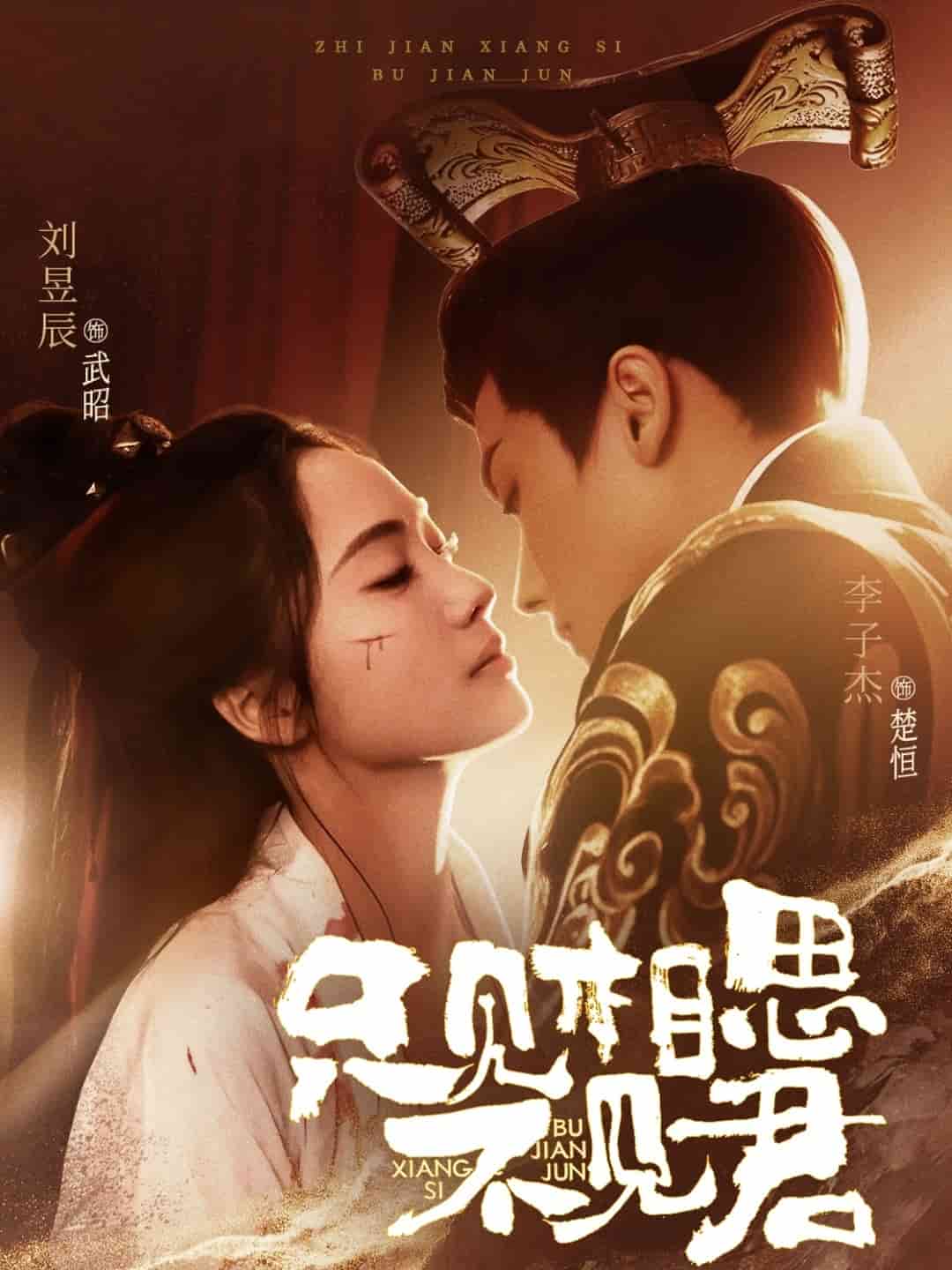 只见相思不见君第27集