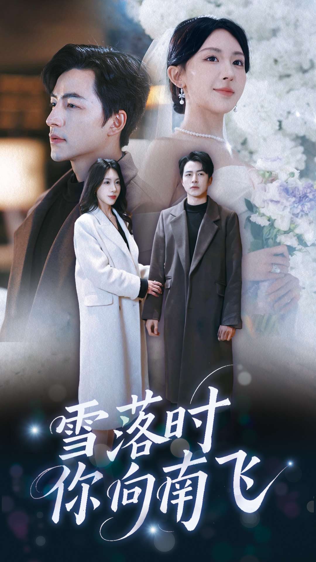 雪落时你向南飞第30集
