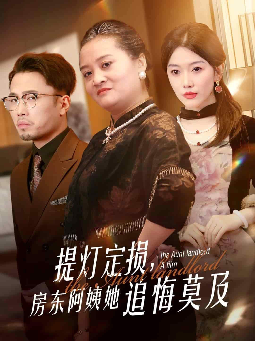 提灯定损，房东阿姨她追悔莫及第33集