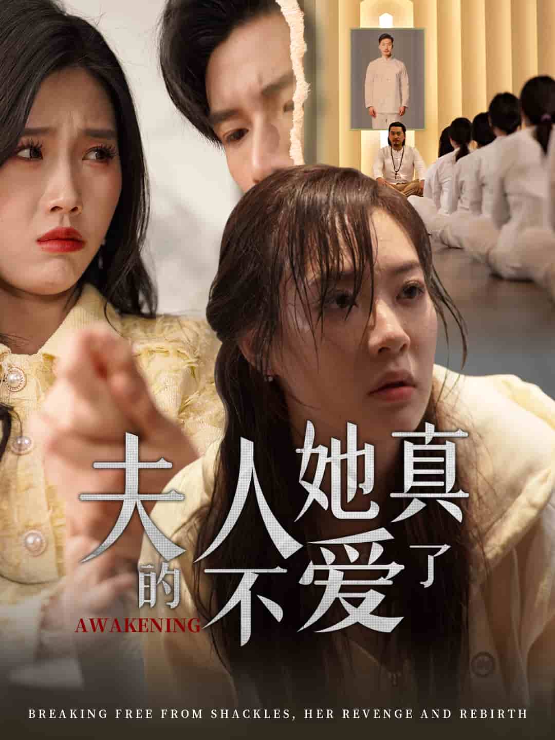 夫人她真的不爱了第12集