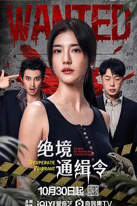 绝境通缉令第01集