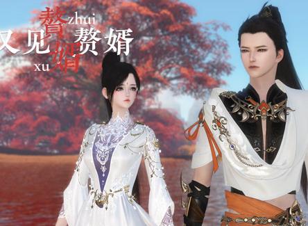 赘婿又见赘婿(全集)